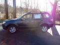 2012 Dark Gray Metallic Subaru Forester 2.5 X  photo #4