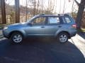 2012 Sage Green Metallic Subaru Forester 2.5 X  photo #4