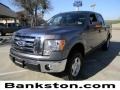 2010 Sterling Grey Metallic Ford F150 XLT SuperCrew  photo #1