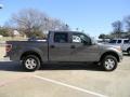 2010 Sterling Grey Metallic Ford F150 XLT SuperCrew  photo #3