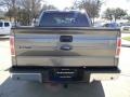 2010 Sterling Grey Metallic Ford F150 XLT SuperCrew  photo #4