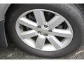 2009 Quartz Silver Metallic Subaru Outback 2.5i Special Edition Wagon  photo #18