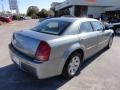 Silver Steel Metallic - 300 Touring Photo No. 8