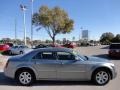 Silver Steel Metallic - 300 Touring Photo No. 9