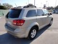 2009 Light Sandstone Metallic Dodge Journey SE  photo #9