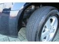 Blackberry Metallic - Grand Caravan SXT Photo No. 33