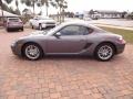 Meteor Grey Metallic - Cayman  Photo No. 4