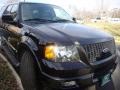 Black Clearcoat - Expedition Limited 4x4 Photo No. 9