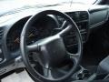 Light Pewter Metallic - Blazer LS 4x4 Photo No. 8