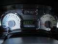Charcoal Black/Chaparral Leather Gauges Photo for 2008 Ford Expedition #58922885