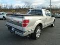 2009 Brilliant Silver Metallic Ford F150 Platinum SuperCrew 4x4  photo #2