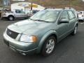 2005 Titanium Green Metallic Ford Freestyle Limited AWD  photo #5