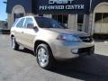 Mesa Beige Metallic - MDX  Photo No. 5