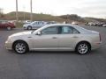 Gold Mist - STS 4 V6 AWD Photo No. 4