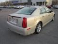 Gold Mist - STS 4 V6 AWD Photo No. 7