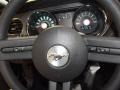 Black - Mustang V6 Coupe Photo No. 14