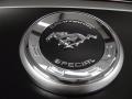 2012 Ford Mustang C/S California Special Coupe Marks and Logos