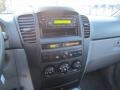 Alpine Gray - Sorento LX 4WD Photo No. 17