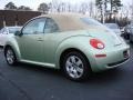 Gecko Green Metallic - New Beetle 2.5 Convertible Photo No. 6
