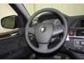 Platinum Gray Metallic - X5 xDrive35i Premium Photo No. 23