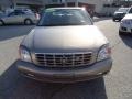 Cashmere - DeVille DTS Sedan Photo No. 3