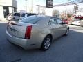 Gold Mist - CTS 4 AWD Sedan Photo No. 6