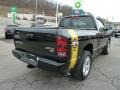 Black - Ram 1500 Rumble Bee Regular Cab 4x4 Photo No. 5