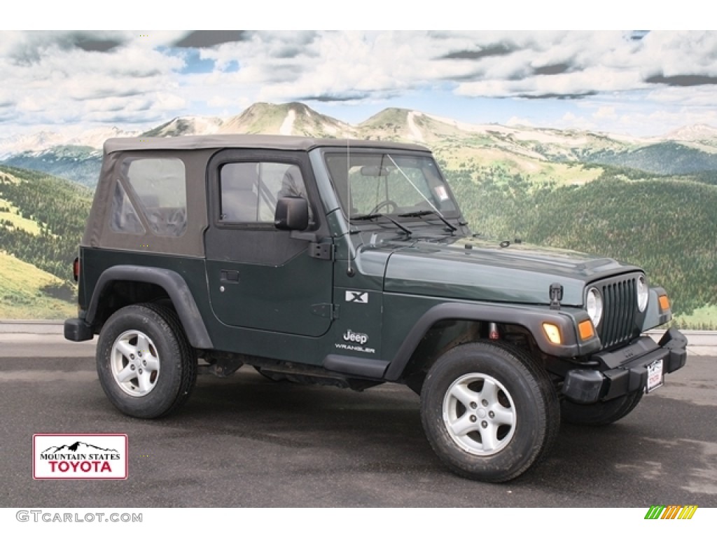 2003 Wrangler X 4x4 - Shale Green Metallic / Dark Slate Gray photo #1