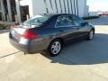 2006 Graphite Pearl Honda Accord EX-L Sedan  photo #3
