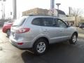 Radiant Silver - Santa Fe GLS 4WD Photo No. 5