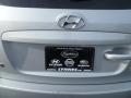 Radiant Silver - Santa Fe GLS 4WD Photo No. 24