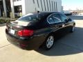 2012 Black Sapphire Metallic BMW 5 Series 528i Sedan  photo #3