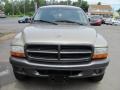 2002 Light Almond Pearl Metallic Dodge Durango Sport 4x4  photo #20
