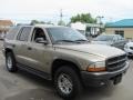 2002 Light Almond Pearl Metallic Dodge Durango Sport 4x4  photo #21