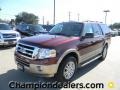Autumn Red Metallic - Expedition XLT Photo No. 1