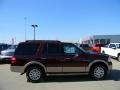 Autumn Red Metallic - Expedition XLT Photo No. 4