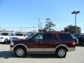 Autumn Red Metallic - Expedition XLT Photo No. 8