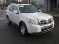 2009 White Suede Ford Escape Limited  photo #1