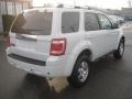2009 White Suede Ford Escape Limited  photo #6