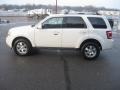 2009 White Suede Ford Escape Limited  photo #9