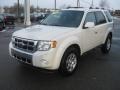 White Suede 2009 Ford Escape Limited Exterior