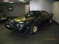 Dark Blue Metallic - Firebird Trans Am Photo No. 2