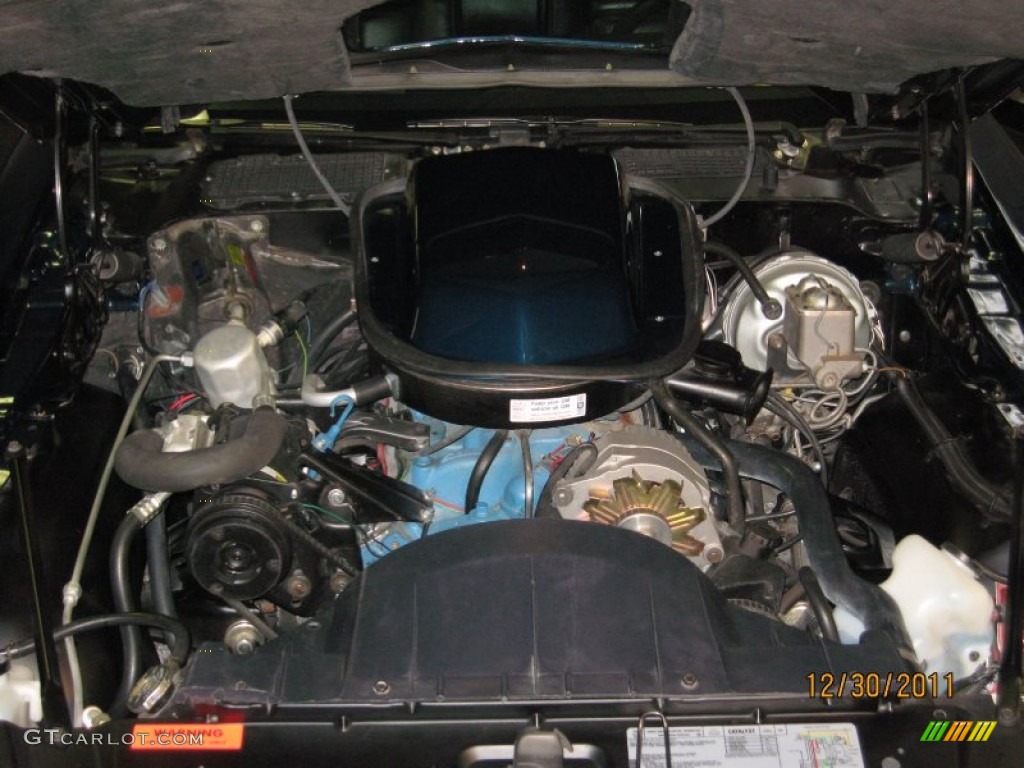 1979 Pontiac Firebird Trans Am 400 Cubic Inch Small Block V8 Engine Photo #58955233