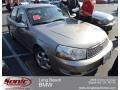 Pewter - L Series L300 Sedan Photo No. 1
