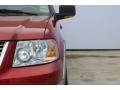 2003 Laser Red Tinted Metallic Ford Expedition Eddie Bauer  photo #8