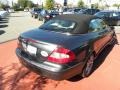 2008 Steel Grey Metallic Mercedes-Benz CLK 350 Cabriolet  photo #10