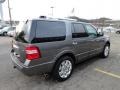 2011 Sterling Grey Metallic Ford Expedition Limited 4x4  photo #4