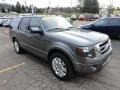 2011 Sterling Grey Metallic Ford Expedition Limited 4x4  photo #6