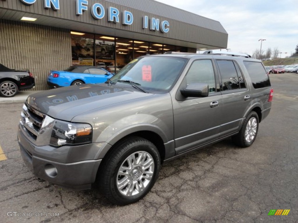 2011 Expedition Limited 4x4 - Sterling Grey Metallic / Stone photo #8
