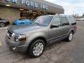 2011 Sterling Grey Metallic Ford Expedition Limited 4x4  photo #8
